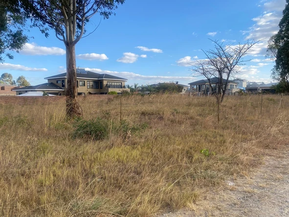 Stands & Residential Land