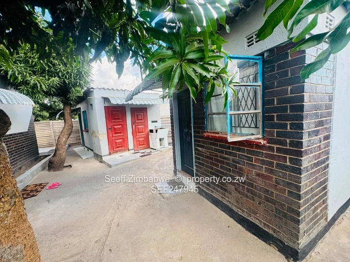 Newly Renovated 4-Bedroom Home in Highfield (Sole Mandate)
