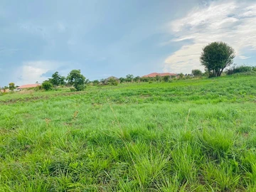 Farm & Agricultural Land