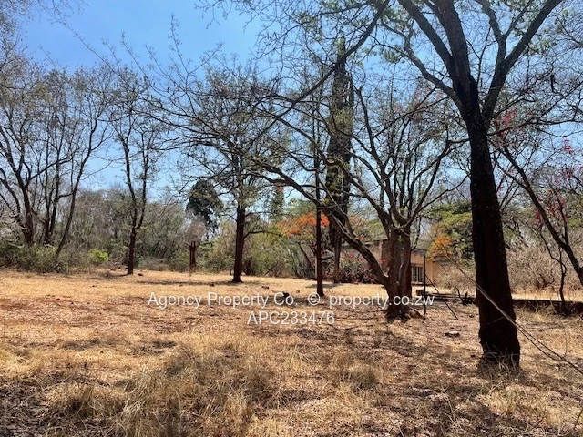 New On The Market - Ideal Investment - 