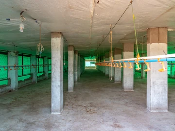 Farm & Agricultural Land