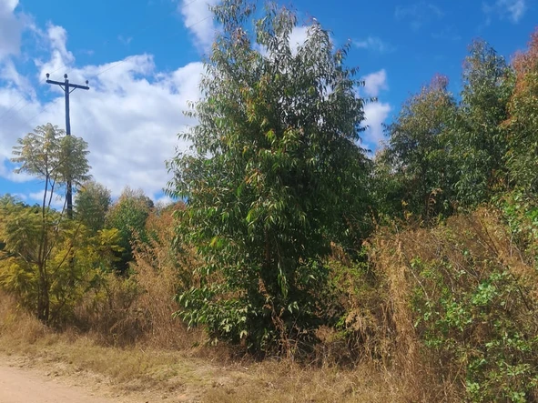 Commercial & Industrial Land