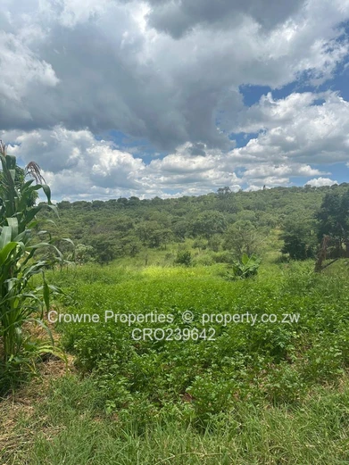 Residential Stand For Sale