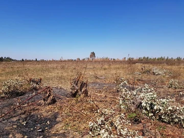 Commercial & Industrial Land