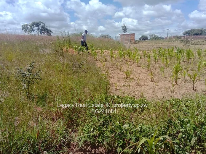 Hatfield Residential Stand for Sale | 480sqm | Parent Deed