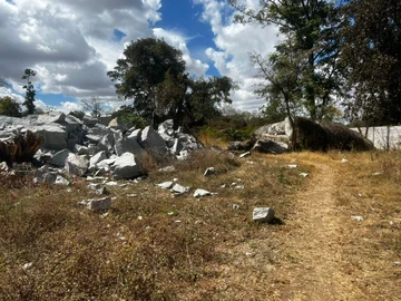 Commercial & Industrial Land