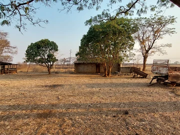 Farm & Agricultural Land