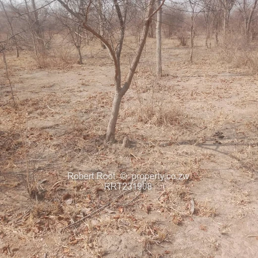 Gweru Stand for sale