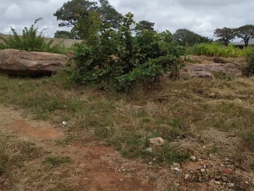 Undeveloped Land -with Title Deeds. Endless Potential