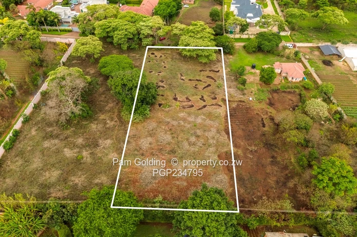 Vacant Title Stand in Good Location