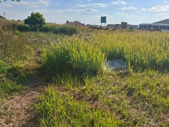 Stands & Residential Land