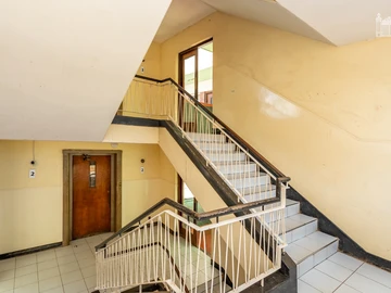 Flat & Apartment