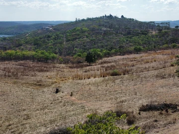 Farm & Agricultural Land