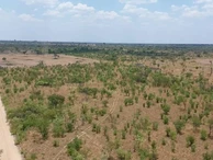 Farm & Agricultural Land