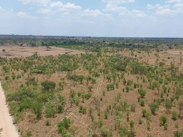 Farm & Agricultural Land