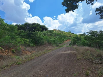 Land