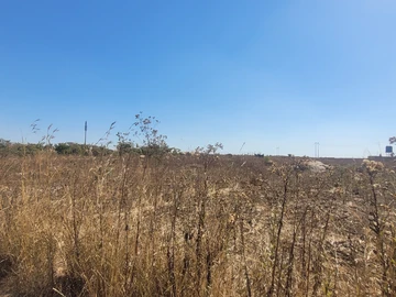 Commercial & Industrial Land