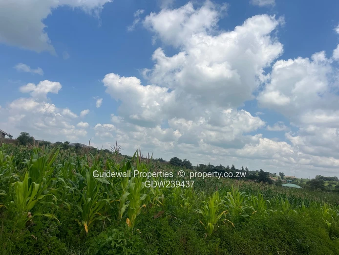 2594sqm stand in Rydale Ridge