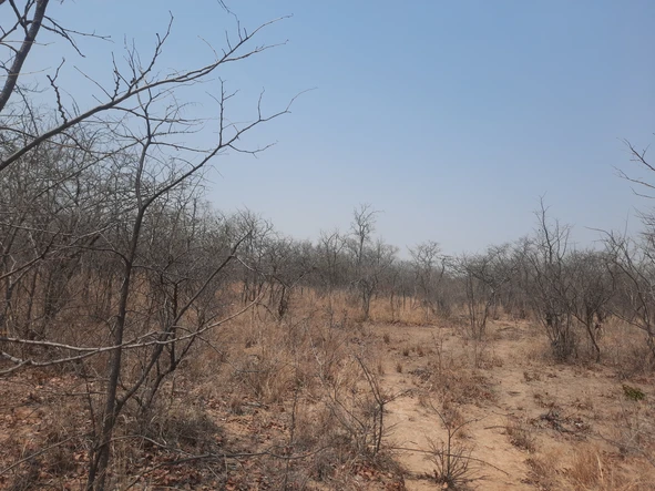 Farm & Agricultural Land