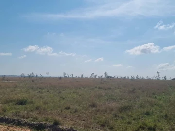 Farm & Agricultural Land