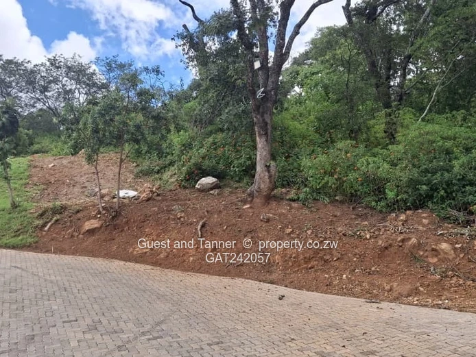 Prime Elevated Residential Stand for Sale in Helensvale – Gated Community