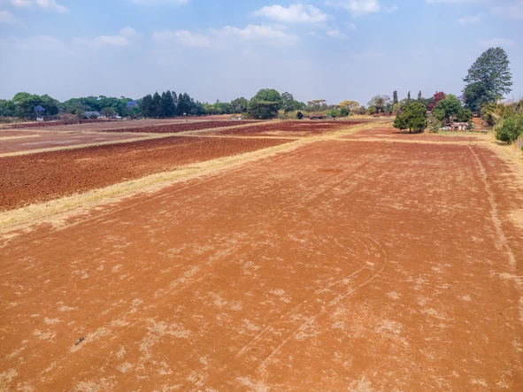 Farm & Agricultural Land