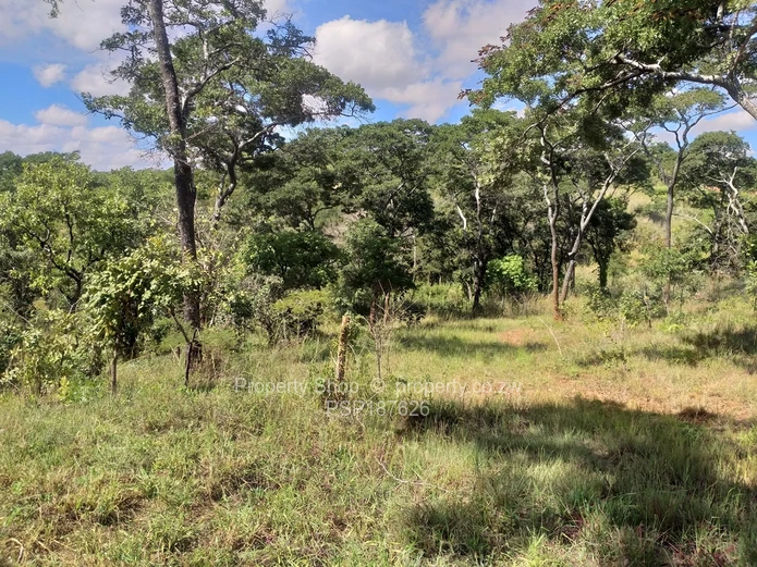 Gletwin Dreamer 1.4Ha