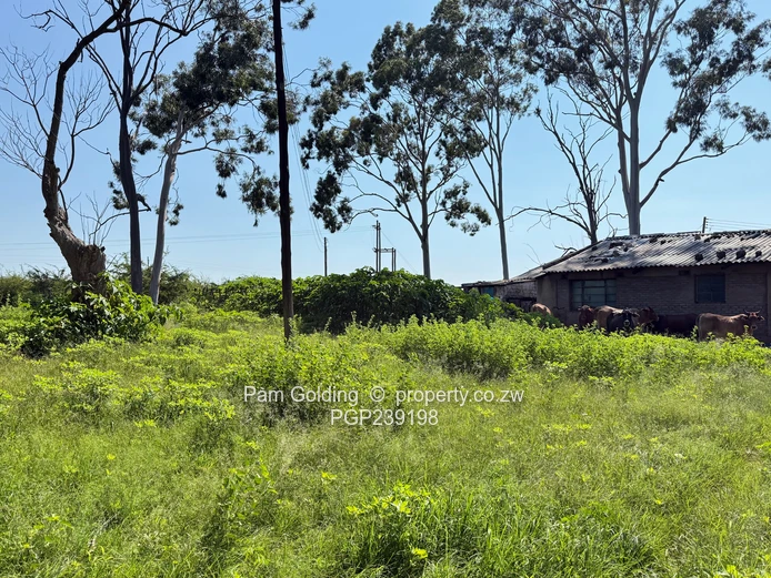 Nyamandlovu 1026 farm for sale