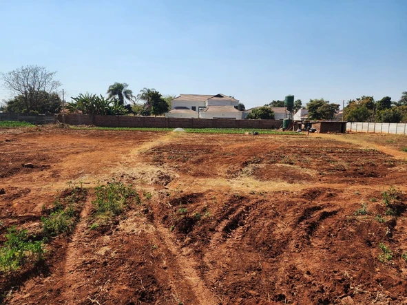 Stands & Residential Land