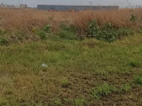 Commercial & Industrial Land