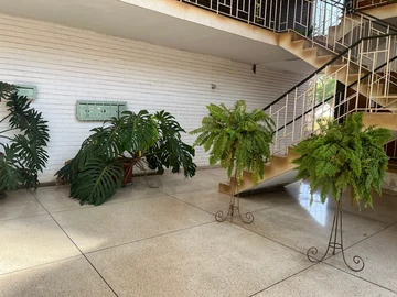 3 Bedroom Flat & Apartment