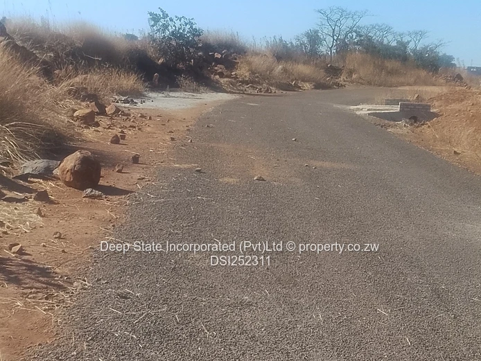 Nyeredzi stand for sale 