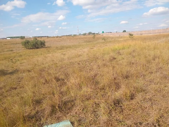 Farm & Agricultural Land