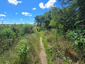 Farm & Agricultural Land
