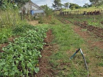 Farm & Agricultural Land