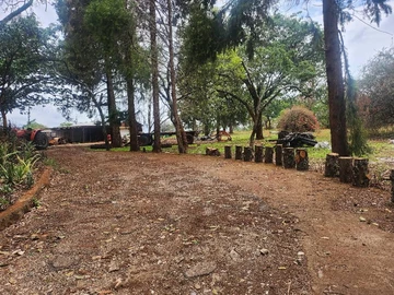 Farm & Agricultural Land