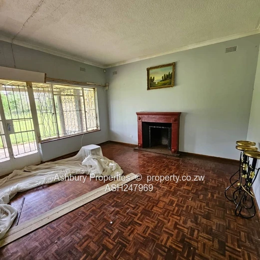 Compact Cosy Rental House Readily Available (Sole Mandate)