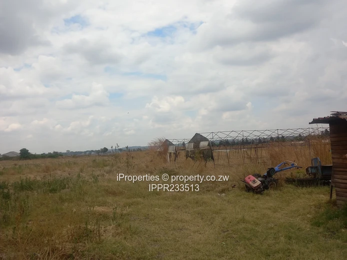 A 2.6Ha plot in Rainham is available for sale at $130000