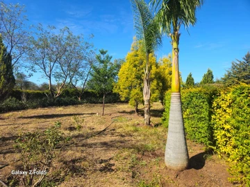 Stands & Residential Land