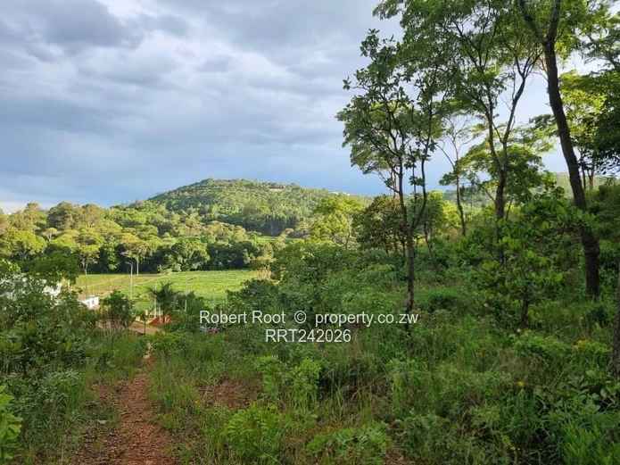 Transform Your Vision Into Reality!