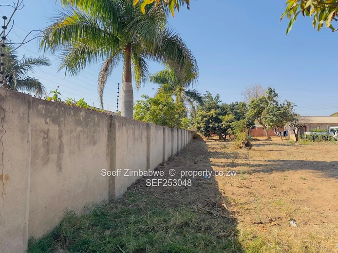Generous Size Stand with 2-Bed Cottage, Zimre Park