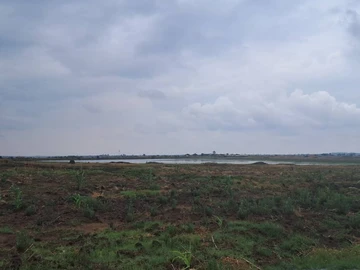 Farm & Agricultural Land