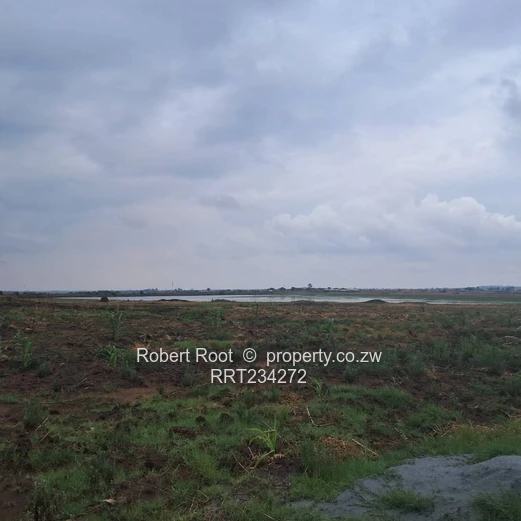 Close to Kirkman Drive (Sole Mandate)