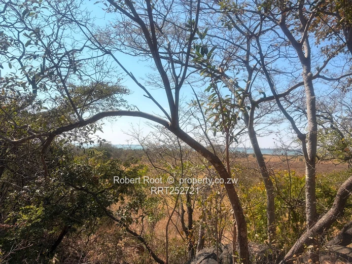 1.56ha at Darwendale with Lake View