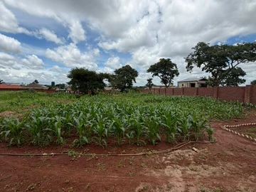 Stands & Residential Land
