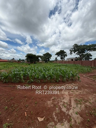 Build your dream home!