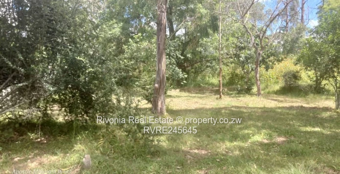 GILSTONE AFTER SKYLINE NEW opportunity 