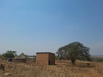 Farm & Agricultural Land