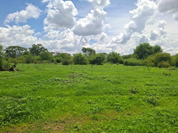 Farm & Agricultural Land