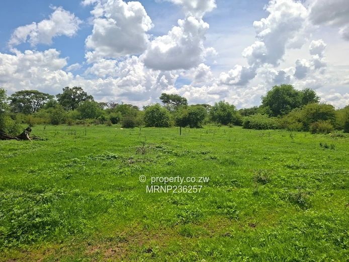 Beatrice Farm for sale